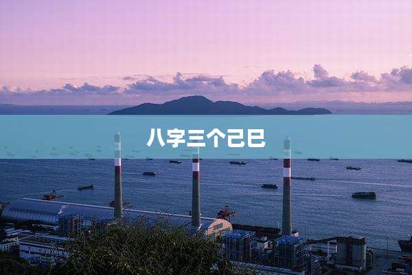 八字三个己巳