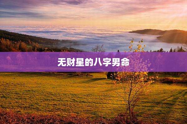 无财星的八字男命