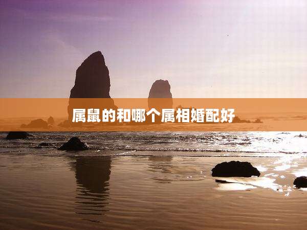 属鼠的和哪个属相婚配好