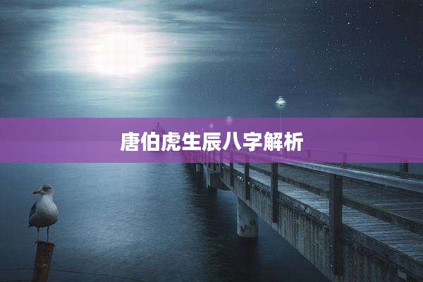 唐伯虎生辰八字解析