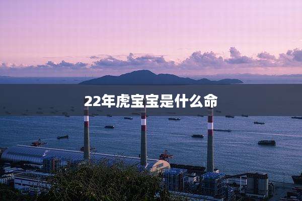22年虎宝宝是什么命