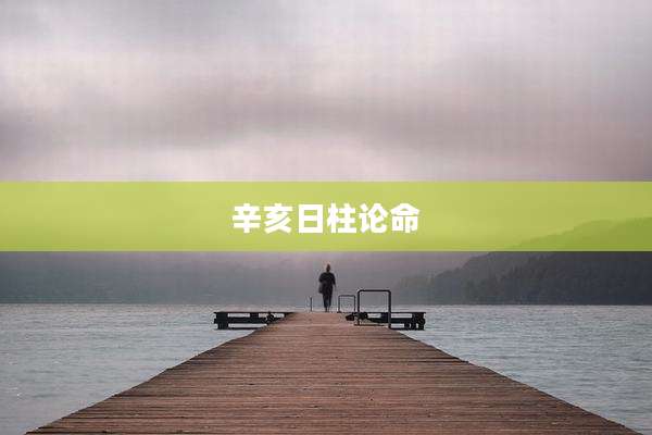 辛亥日柱论命