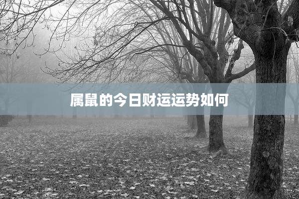 属鼠的今日财运运势如何