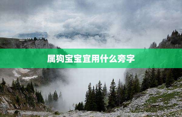 属狗宝宝宜用什么旁字