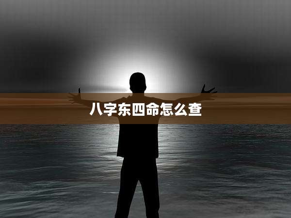 八字东四命怎么查