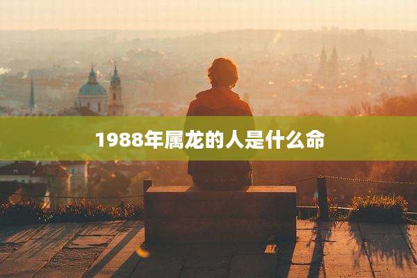 1988年属龙的人是什么命