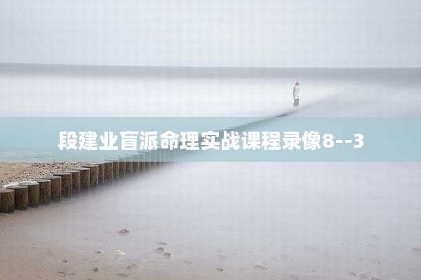 段建业盲派命理实战课程录像8--3