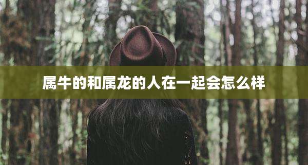 属牛的和属龙的人在一起会怎么样