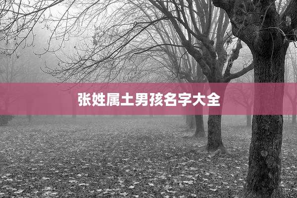 张姓属土男孩名字大全