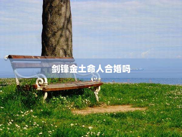 剑锋金土命人合婚吗