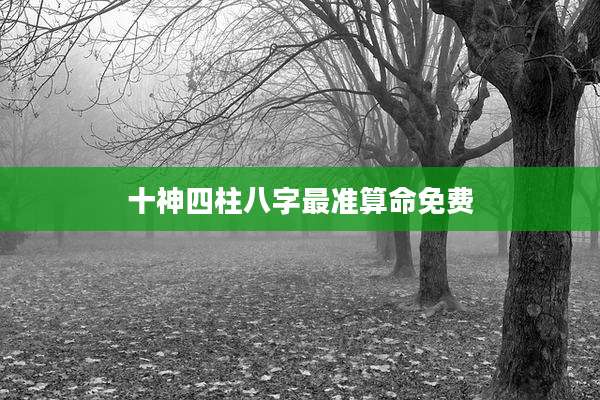 十神四柱八字最准算命免费