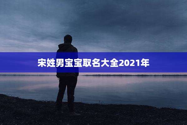宋姓男宝宝取名大全2021年