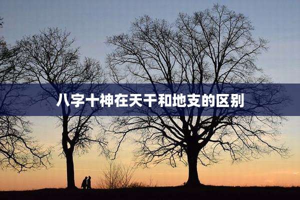 八字十神在天干和地支的区别