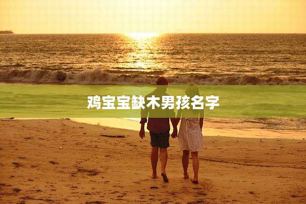 鸡宝宝缺木男孩名字
