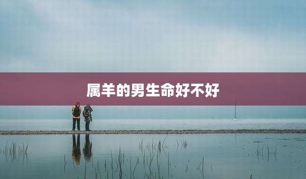 属羊的男生命好不好
