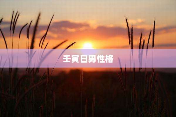 壬寅日男性格