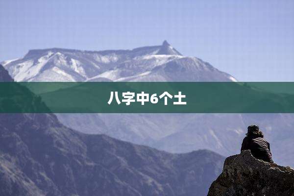 八字中6个土