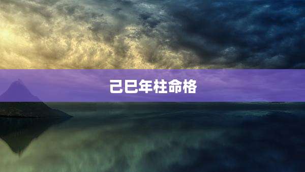 己巳年柱命格