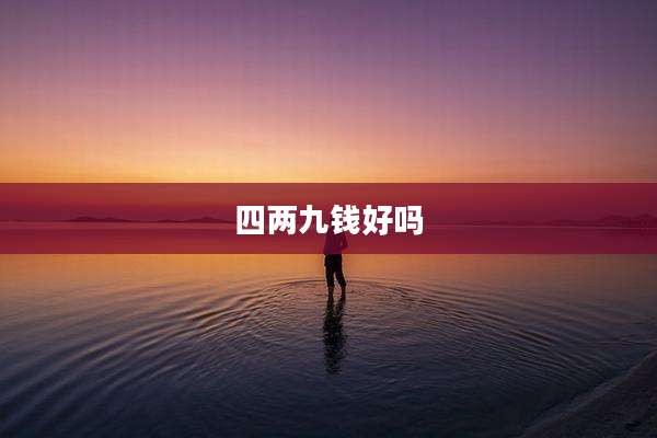 四两九钱好吗