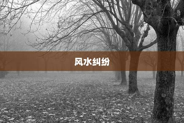 风水纠纷