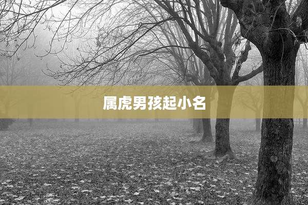 属虎男孩起小名