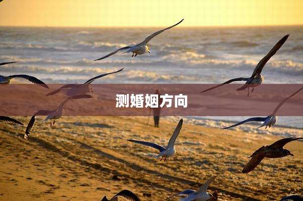 测婚姻方向