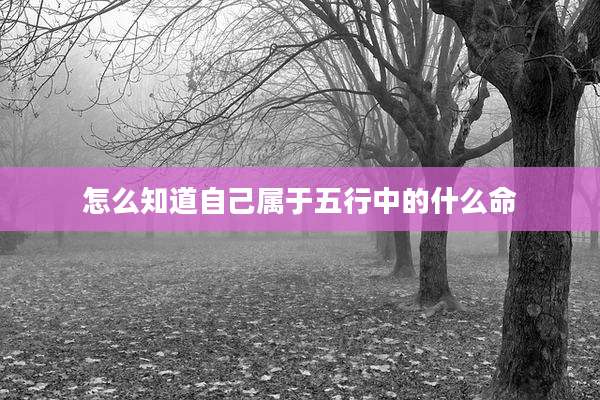 怎么知道自己属于五行中的什么命