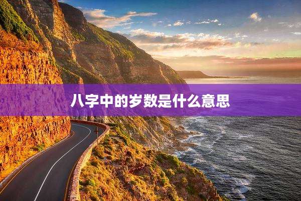 八字中的岁数是什么意思