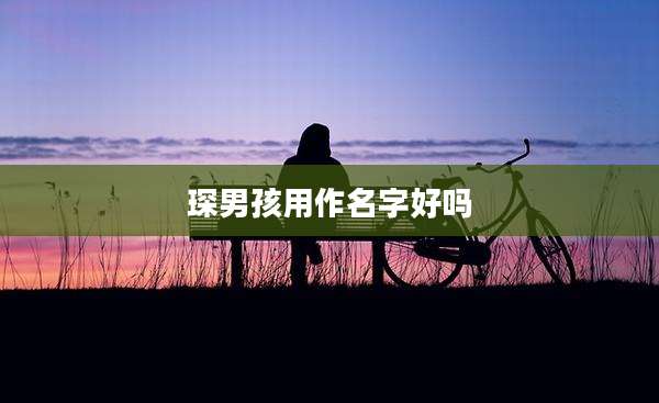 琛男孩用作名字好吗