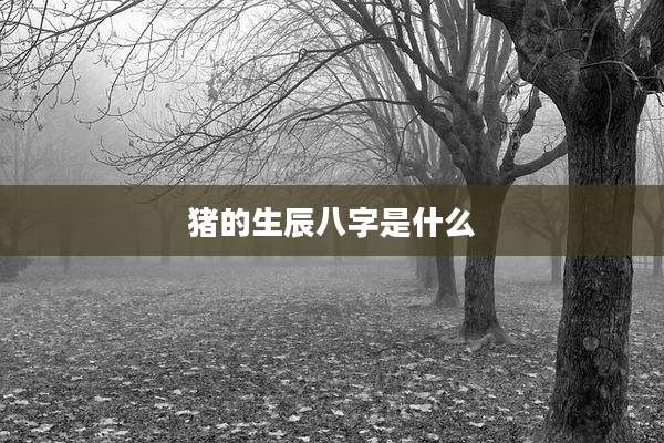 猪的生辰八字是什么