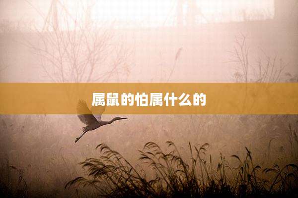 属鼠的怕属什么的