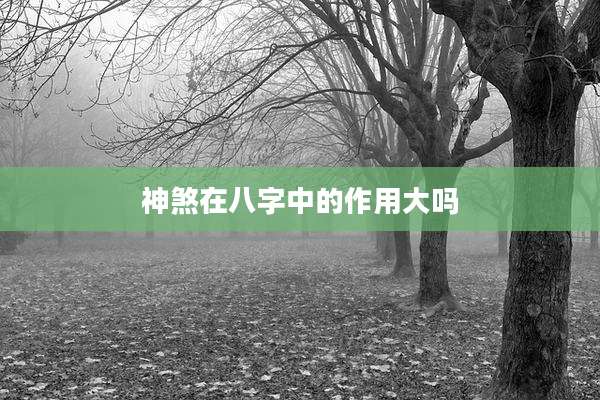 神煞在八字中的作用大吗