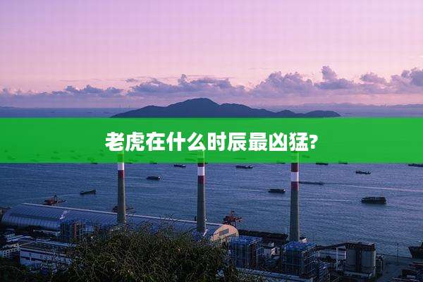 老虎在什么时辰最凶猛?
