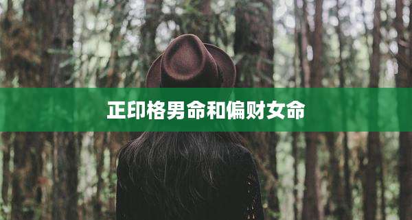 正印格男命和偏财女命