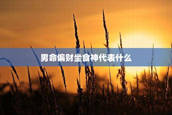 男命偏财坐食神代表什么