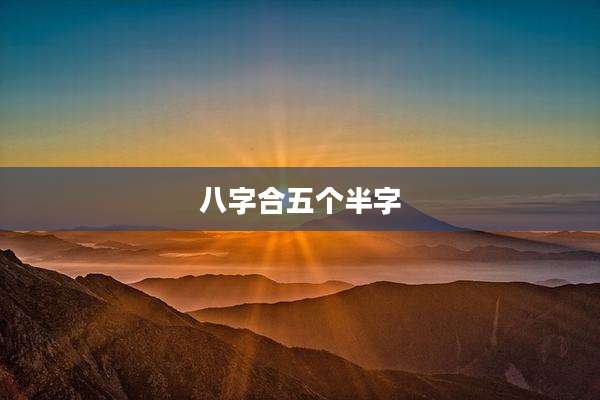 八字合五个半字