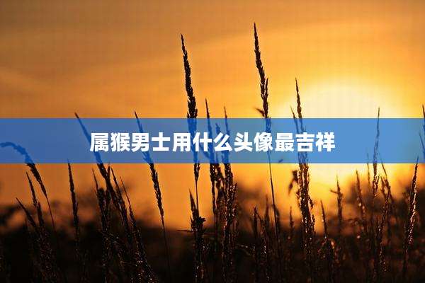属猴男士用什么头像最吉祥