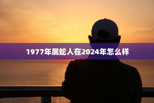 1977年属蛇人在2024年怎么样