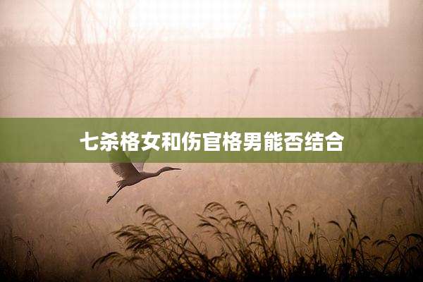 七杀格女和伤官格男能否结合