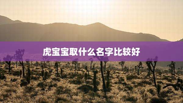 虎宝宝取什么名字比较好