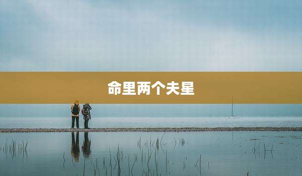 命里两个夫星