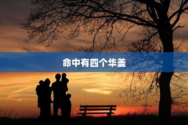 命中有四个华盖