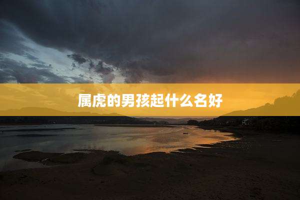属虎的男孩起什么名好