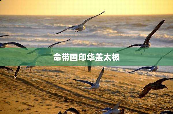 命带国印华盖太极