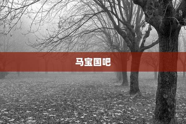马宝国吧