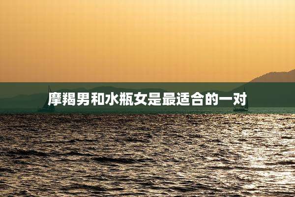 摩羯男和水瓶女是最适合的一对