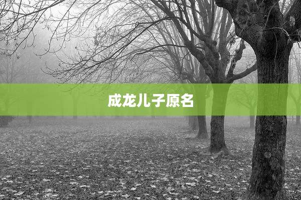 成龙儿子原名