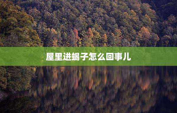 屋里进蝎子怎么回事儿