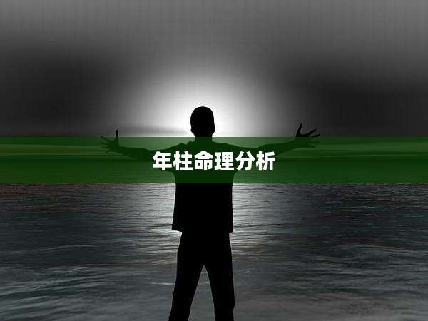 年柱命理分析
