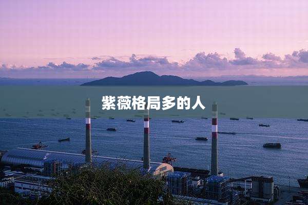 紫薇格局多的人